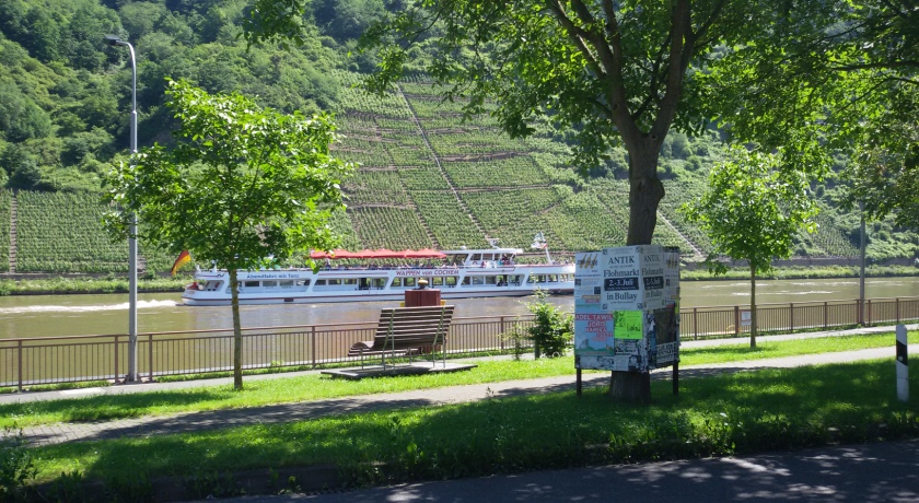 Passagierschiffe halten in Beilstein gegenüber